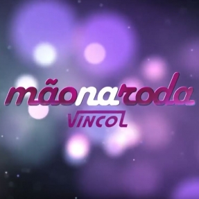 Mão na Roda Vincol 
